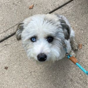 Meet your Posher, Layne